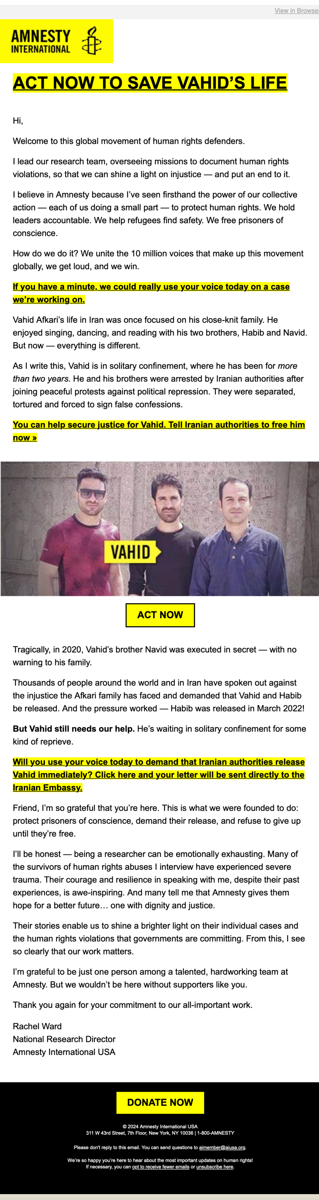 Amnesty International // Fundraising Emails From Global Charities, Nonprofit Organizations and NGOs 