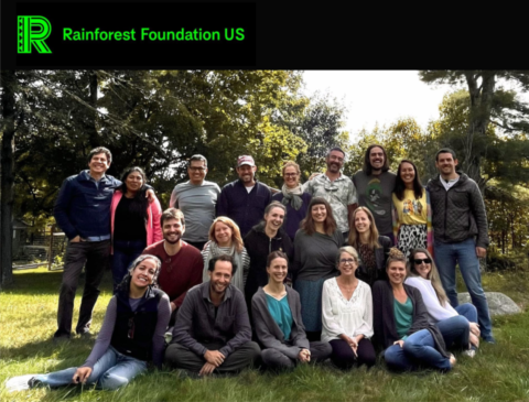 Rainforest Foundation US // Fundraising Emails From Global Charities, Nonprofit Organizations and NGOs