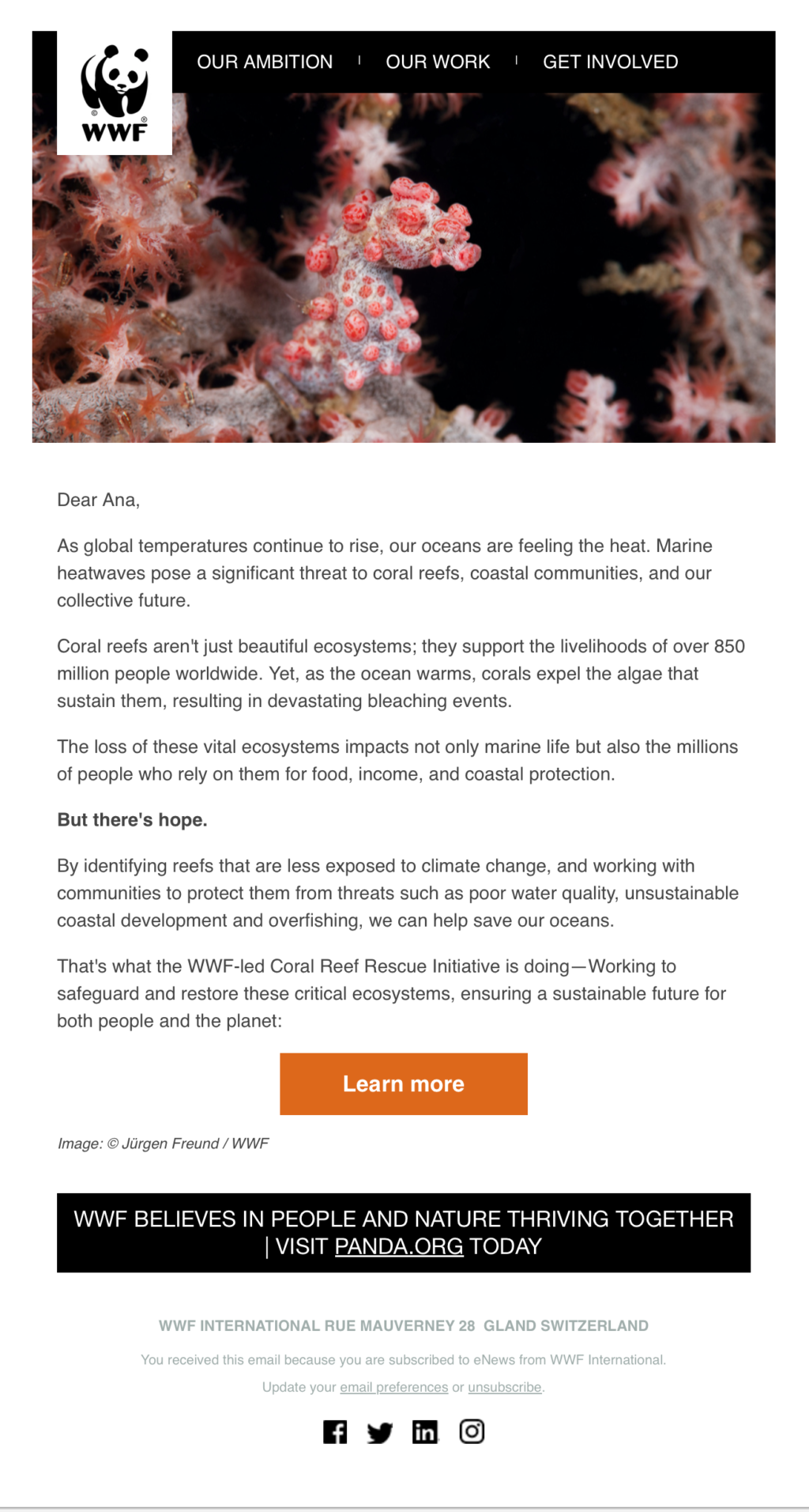 WWF // Fundraising Emails From Global Charities, Nonprofit Organizations and NGOs 