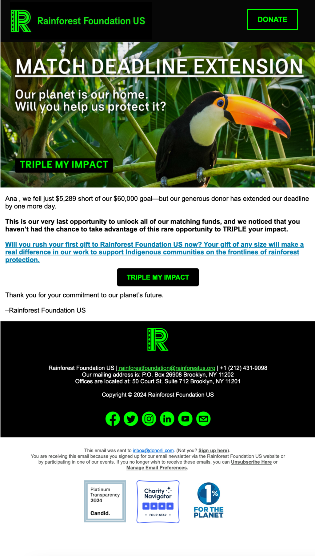 Rainforest Foundation US // Email Fundraising Examples