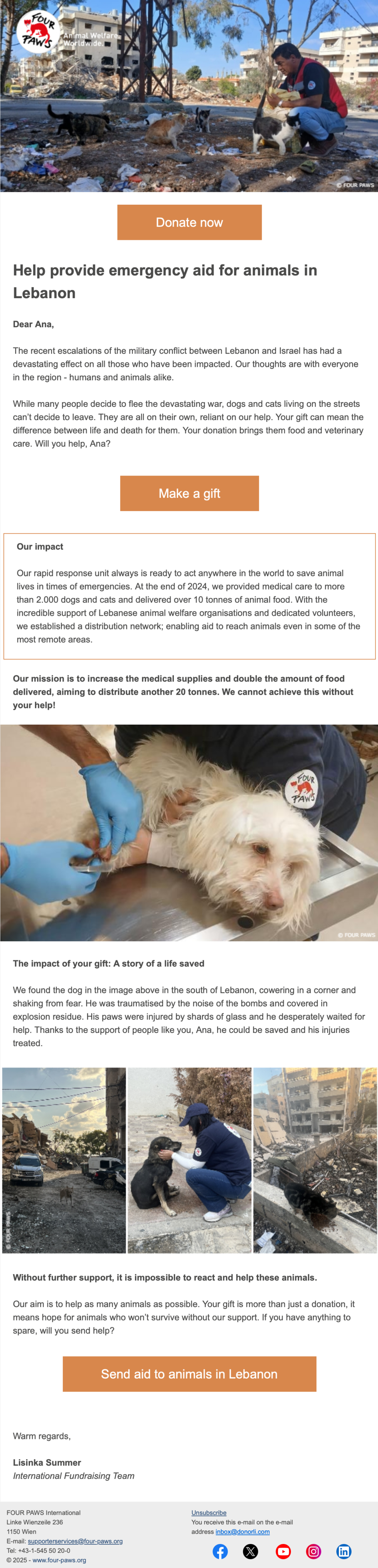 FOUR PAWS // Email Fundraising Examples 