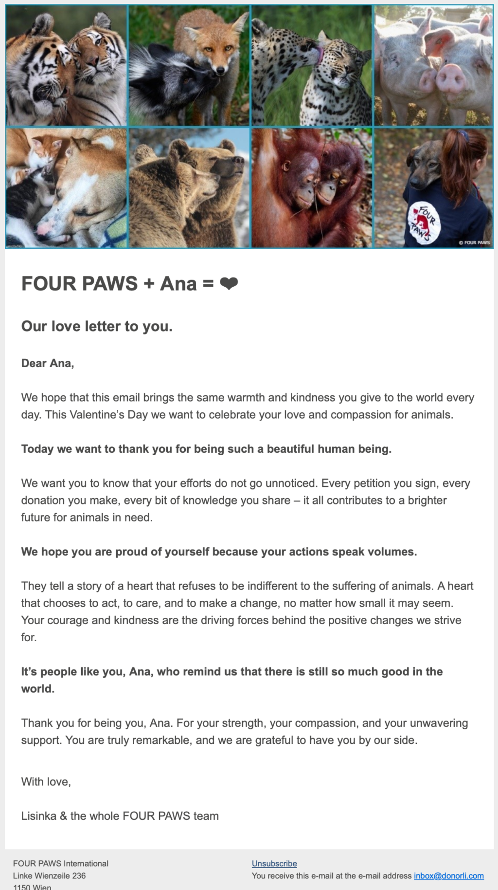 FOUR PAWS // Email Fundraising Examples