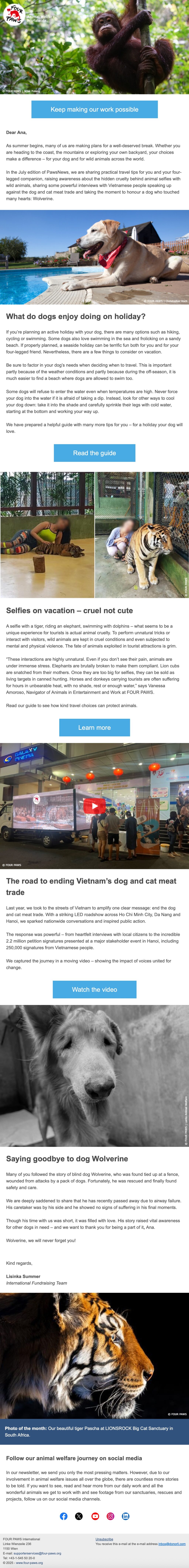 FOUR PAWS // Email Fundraising Examples 